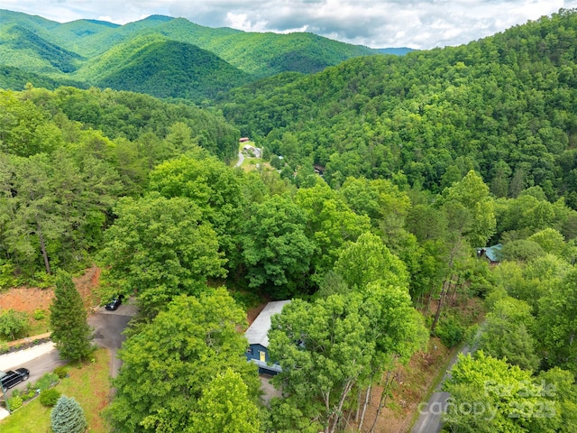 220 Deer Run Rd, Canton, NC 28716 - mountain view featuring a forest