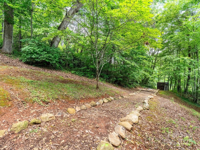 220 Deer Run Rd, Canton, NC 28716 - view of yard with a forest view