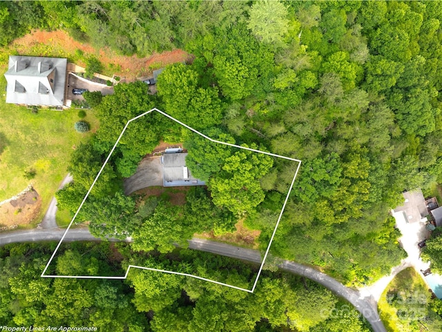 220 Deer Run Rd, Canton, NC 28716 - aerial overview of property's location with property parcel outlined