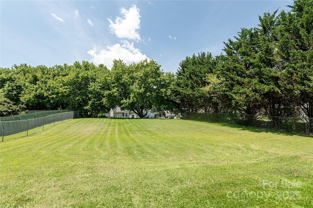 802 Woodlark Ct, Fletcher, NC 28732 - view of yard