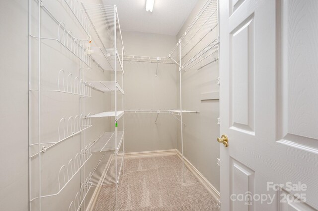 975 Pine Knoll Rd, Fort Mill, SC 29715 - walk in closet with carpet flooring