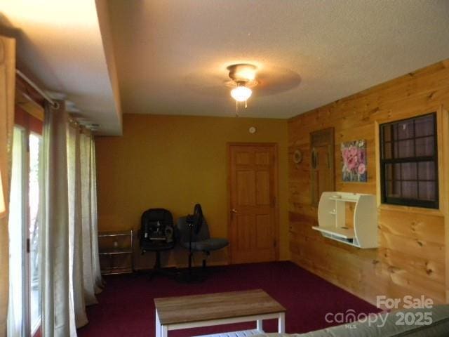 1425 Sorrells Cove Rd, Clyde, NC 28721 - living room featuring a ceiling fan