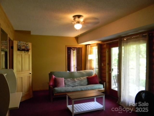 1425 Sorrells Cove Rd, Clyde, NC 28721 - living room with ceiling fan