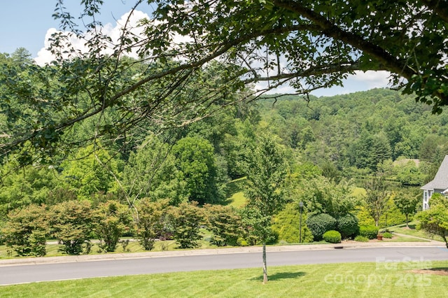 52 Quail Run Cir, Brevard, NC 28712 - photo 13