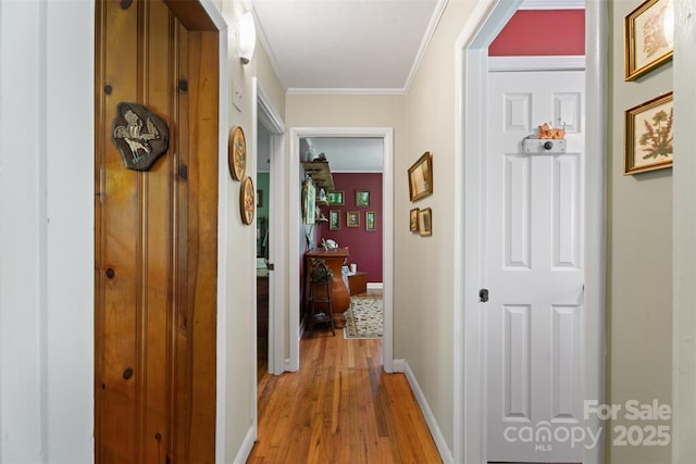 25 Wall Rd, Tryon, NC 28782 - hallway with light wood-style flooring and crown molding