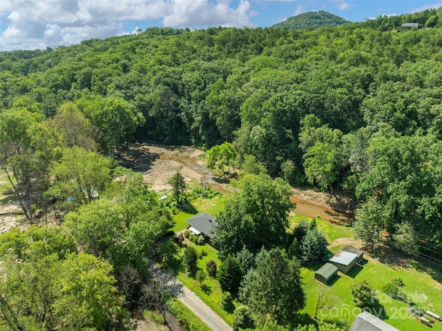 25 Wall Rd, Tryon, NC 28782 - bird's eye view of a forest
