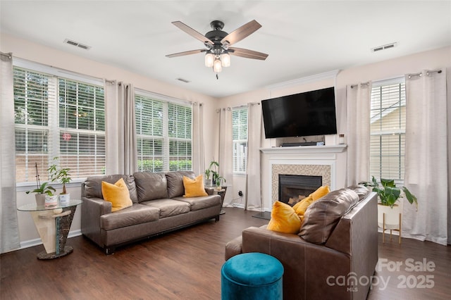 6422 Gatesville Ln, Charlotte, NC 28270 - living room with ceiling fan, wood finished floors, a glass covered fireplace, and healthy amount of natural light