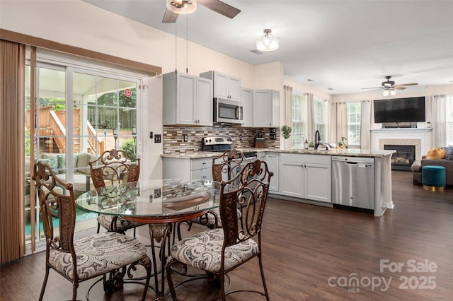 6422 Gatesville Ln, Charlotte, NC 28270 - dining room with a ceiling fan, dark wood-style floors, and a glass covered fireplace