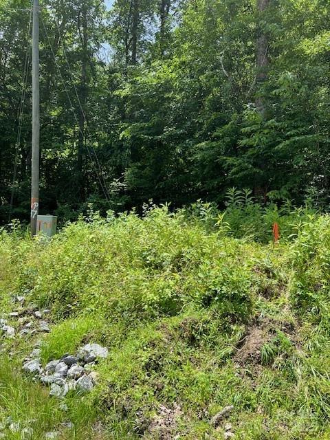LotsP12-22 Green River Cove Road 22 & 23, Saluda, NC 28773 - photo 6