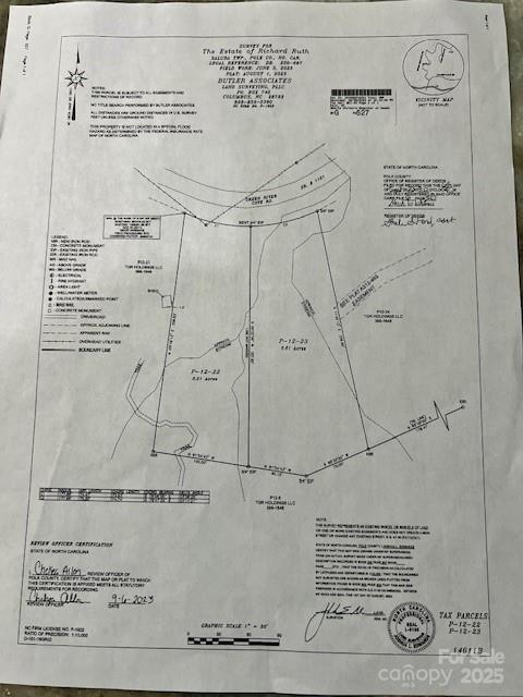 LotsP12-22 Green River Cove Road 22 & 23, Saluda, NC 28773 - photo 19