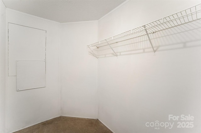 508 Bridgestone Ln, Rock Hill, SC 29730 - walk in closet with carpet
