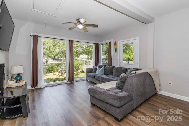 202 Gum St, Pageland, SC 29728 - living area with attic access, plenty of natural light, ceiling fan, and wood finished floors
