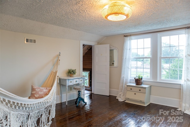 102 Cuthberson St, Morganton, NC 28655 - office space featuring a textured ceiling, vaulted ceiling, and dark wood-style flooring