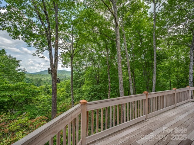 206 Tom Fazio Trce, Hendersonville, NC 28739 - photo 16