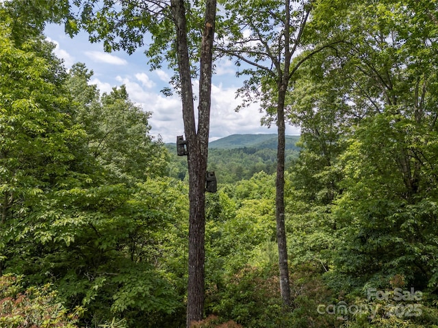 206 Tom Fazio Trce, Hendersonville, NC 28739 - photo 18