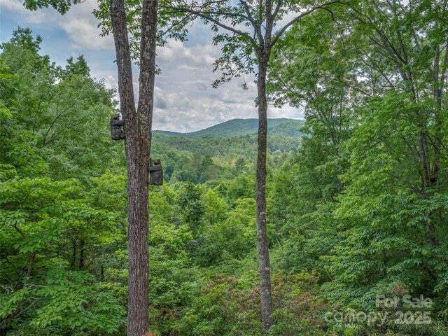 206 Tom Fazio Trce, Hendersonville, NC 28739 - photo 19