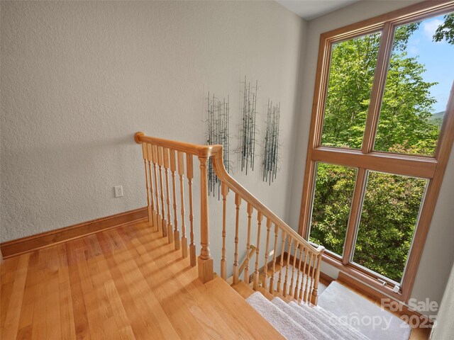 206 Tom Fazio Trce, Hendersonville, NC 28739 - photo 25
