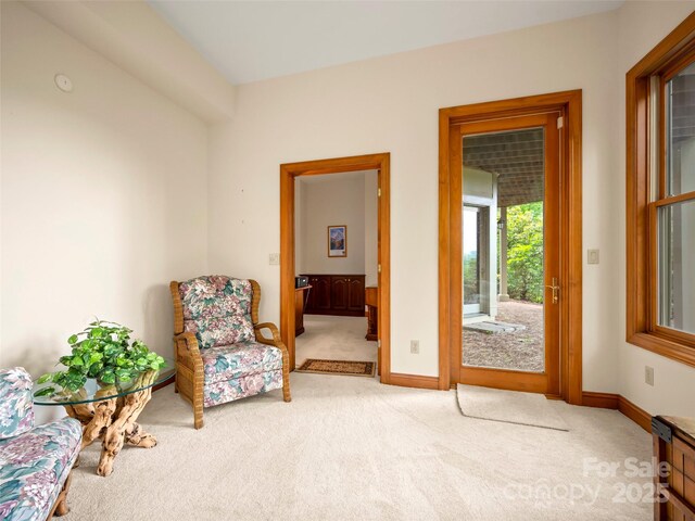 206 Tom Fazio Trce, Hendersonville, NC 28739 - photo 35