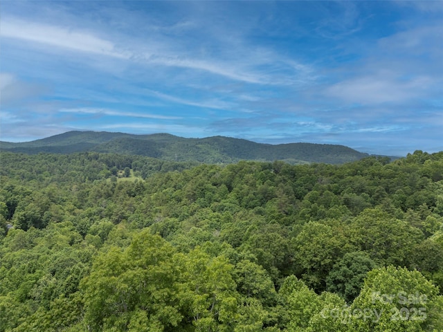 206 Tom Fazio Trce, Hendersonville, NC 28739 - photo 45