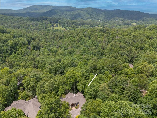 206 Tom Fazio Trce, Hendersonville, NC 28739 - photo 46