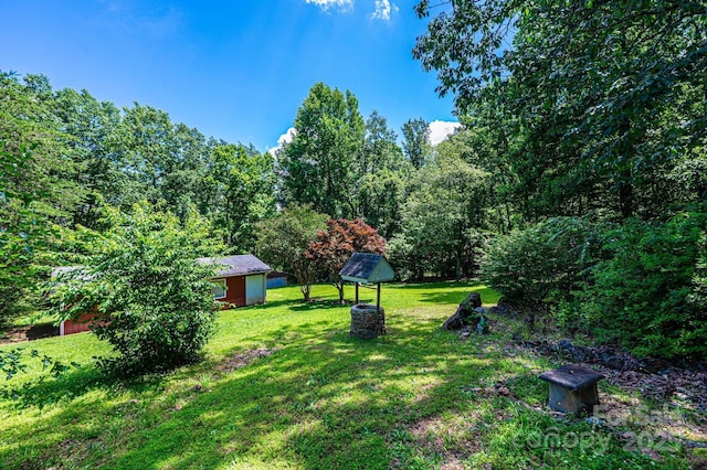 3954 E Burke Blvd, Connelly Springs, NC 28612 - view of grassy yard