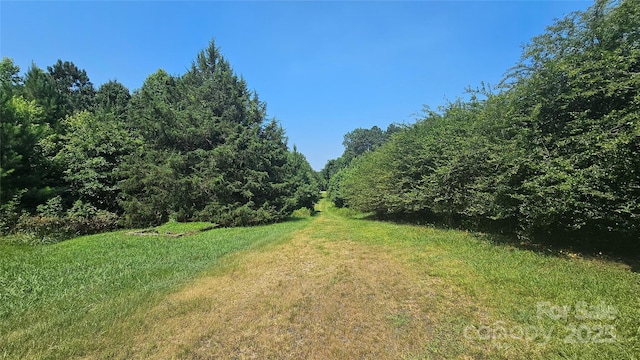11056 US Highway 52 N, Wadesboro, NC 28170 - photo 2