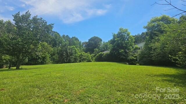 11056 US Highway 52 N, Wadesboro, NC 28170 - photo 5