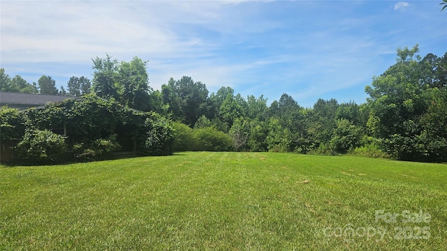 11056 US Highway 52 N, Wadesboro, NC 28170 - photo 6