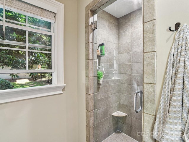 145 Fernbrook Way, Hendersonville, NC 28791 - full bathroom with a stall shower