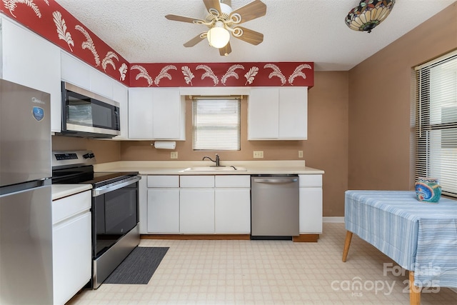 806 Abbey Cir, Asheville, NC 28805 - photo 5