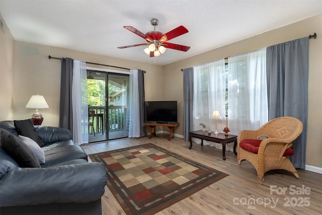 806 Abbey Cir, Asheville, NC 28805 - photo 9