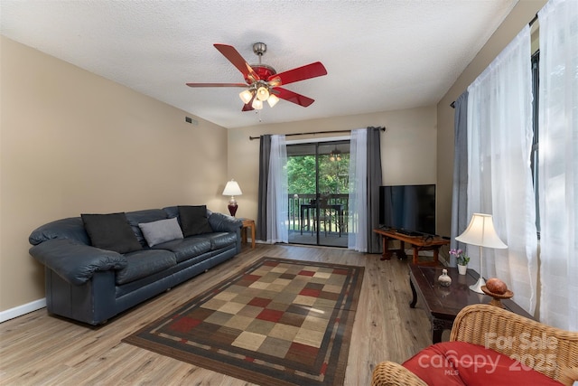 806 Abbey Cir, Asheville, NC 28805 - photo 12