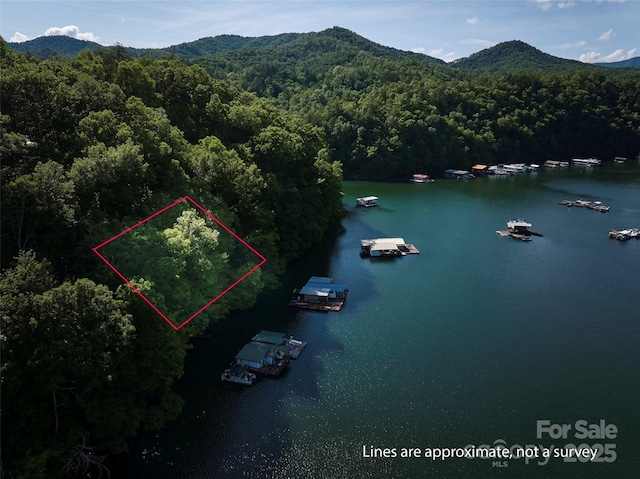 28 Panther Creek Rd, Almond, NC 28702 - photo 4