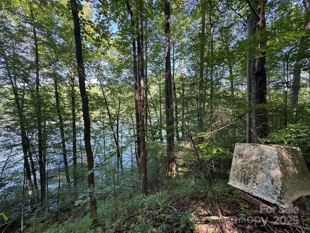 28 Panther Creek Rd, Almond, NC 28702 - photo 5