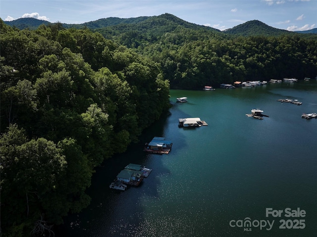28 Panther Creek Rd, Almond, NC 28702 - photo 6