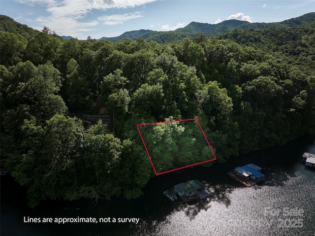 28 Panther Creek Rd, Almond, NC 28702 - photo 8