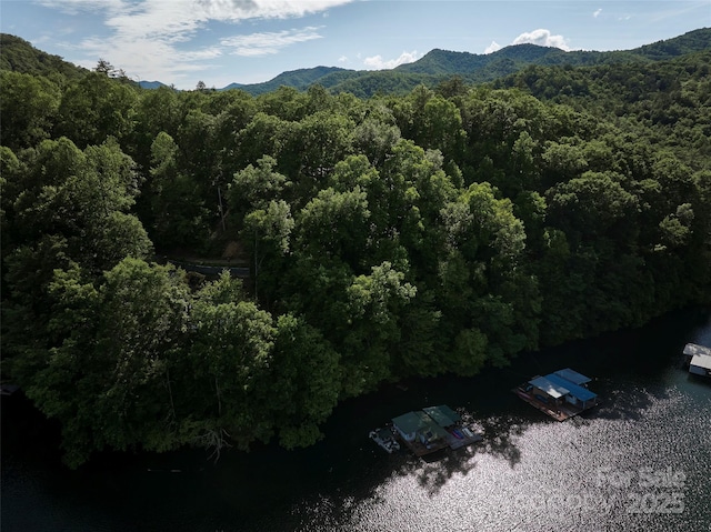 28 Panther Creek Rd, Almond, NC 28702 - photo 9