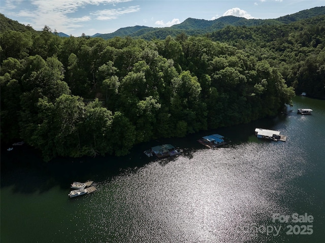 28 Panther Creek Rd, Almond, NC 28702 - photo 11
