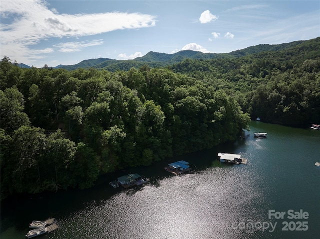 28 Panther Creek Rd, Almond, NC 28702 - photo 12