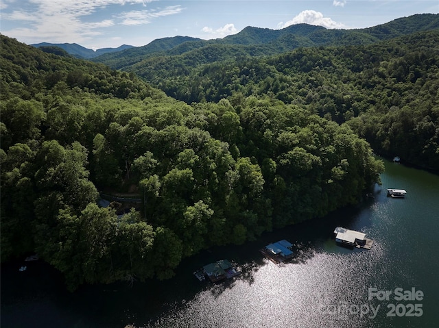 28 Panther Creek Rd, Almond, NC 28702 - photo 13