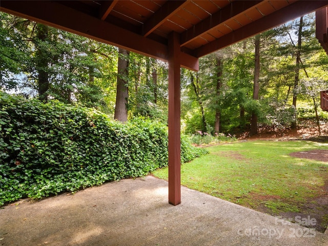 32 Marblegate Ct, Waynesville, NC 28785 - photo 25