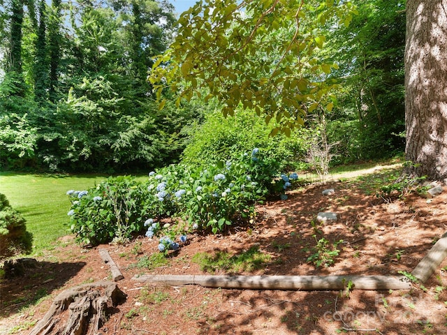 32 Marblegate Ct, Waynesville, NC 28785 - photo 27