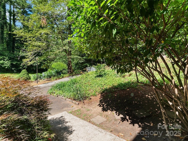 32 Marblegate Ct, Waynesville, NC 28785 - photo 28