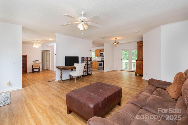 16 Rusty Clay Rdg, Fairview, NC 28730 - living room featuring a ceiling fan, light wood-style floors, and a chandelier