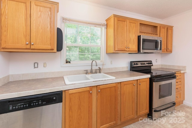 16 Rusty Clay Rdg, Fairview, NC 28730 - kitchen featuring appliances with stainless steel finishes and crown molding