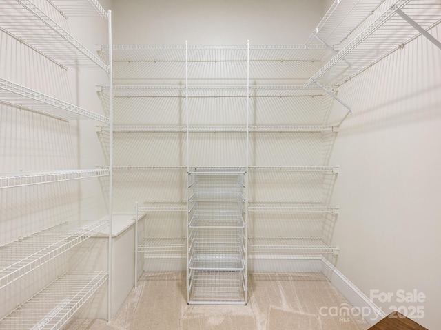 10333 Scott Gate Ct, Charlotte, NC 28277 - view of walk in closet
