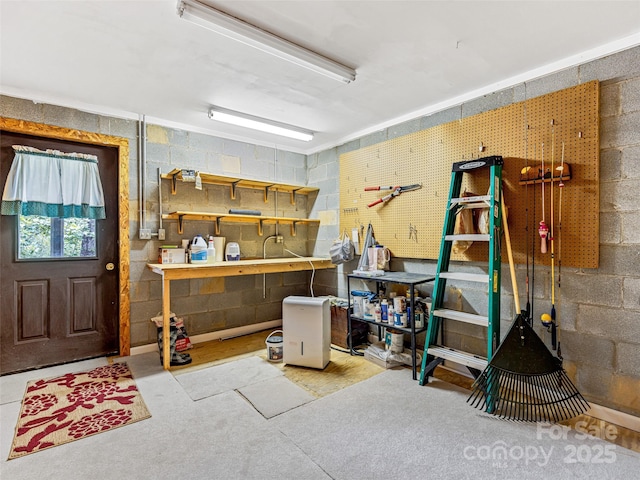 128 View De Lake Dr, Etowah, NC 28729 - basement featuring a workshop area and concrete block wall