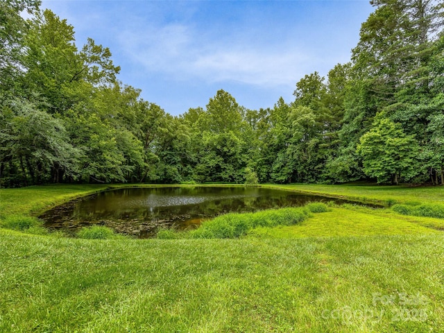 128 View De Lake Dr, Etowah, NC 28729 - water view with a heavily wooded area