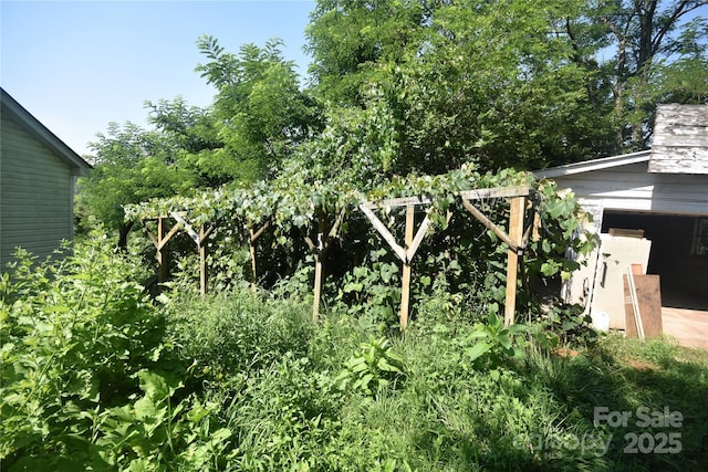 161 Pandora Cir, Canton, NC 28716 - view of yard