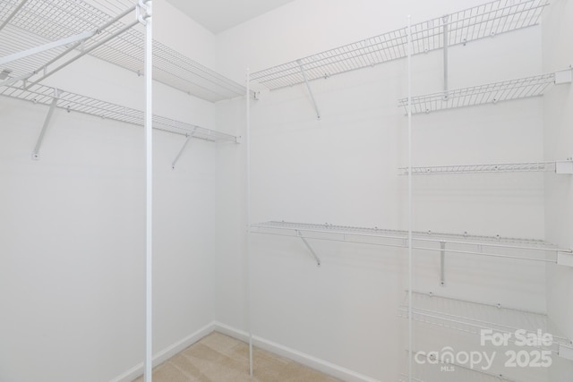 1540 Coatsworth Ln, Rock Hill, SC 29732 - photo 29